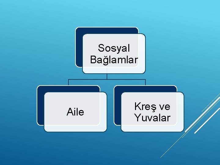 Sosyal Bağlamlar Aile Kreş ve Yuvalar 