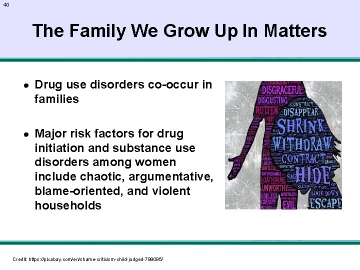 40 The Family We Grow Up In Matters ● Drug use disorders co-occur in