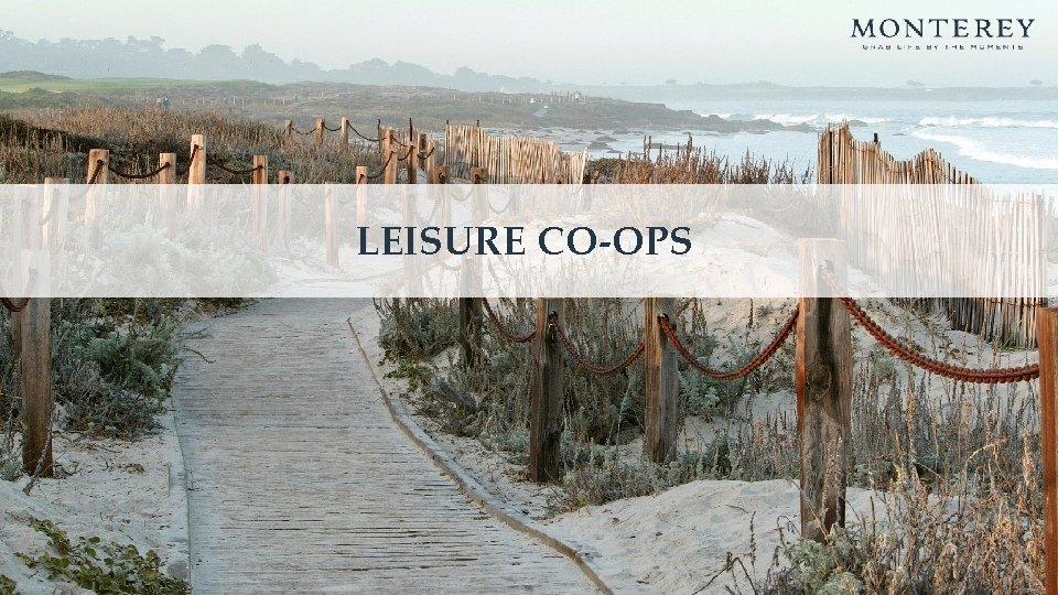 LEISURE CO-OPS 