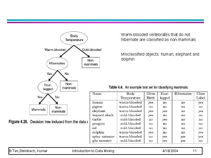 Warm-blooded vertebrates that do not hibernate are classified as non-mammals Misclassified objects: human, elephant Warm-blooded vertebrates that do not hibernate are classified as non-mammals Misclassified objects: human, elephant