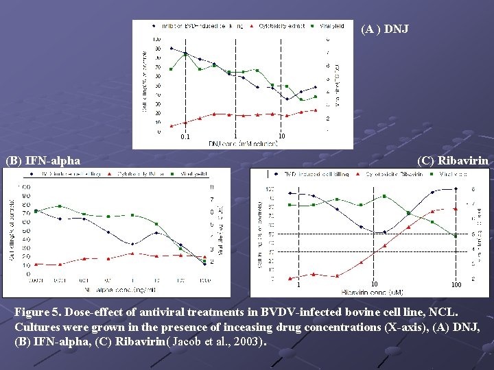 (A ) DNJ 0. 1 1 10 (B) IFN-alpha (C) Ribavirin 1 10 100