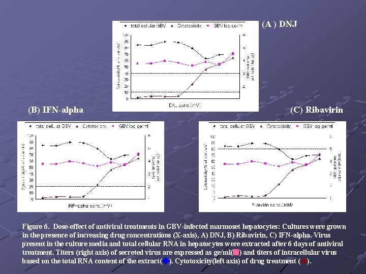 (A ) DNJ (B) IFN-alpha (C) Ribavirin Figure 6. Dose-effect of antiviral treatments in