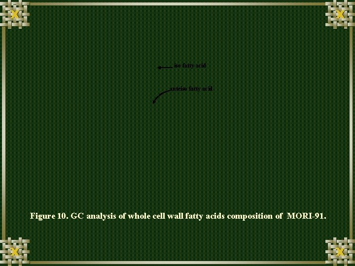 iso fatty acid anteiso fatty acid Figure 10. GC analysis of whole cell wall