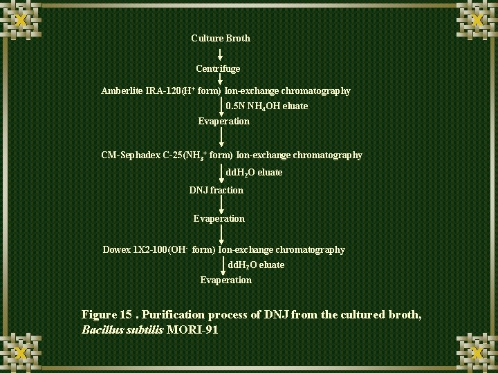 Culture Broth Centrifuge Amberlite IRA-120(H+ form) Ion-exchange chromatography 0. 5 N NH 4 OH