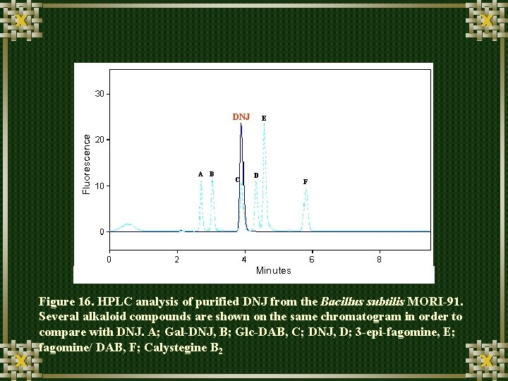 Fluorescence DNJ A B C E D F Minutes Figure 16. HPLC analysis of