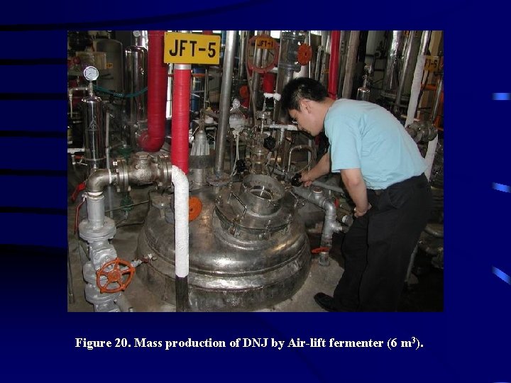 Figure 20. Mass production of DNJ by Air-lift fermenter (6 m 3). 