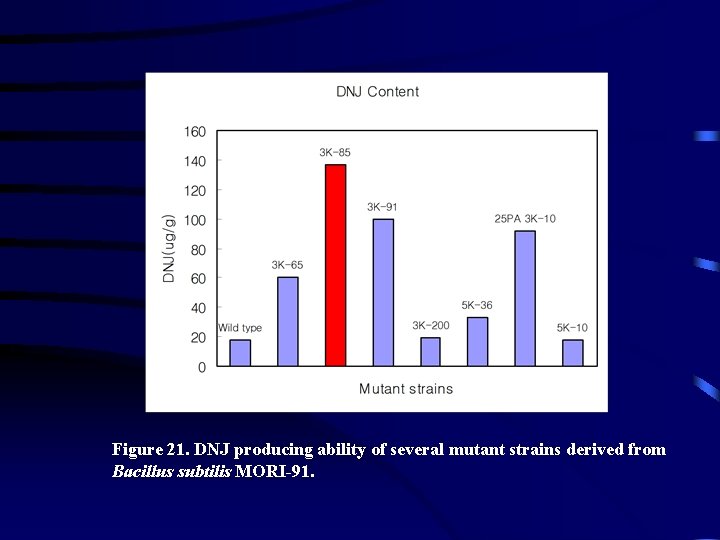 Figure 21. DNJ producing ability of several mutant strains derived from Bacillus subtilis MORI-91.