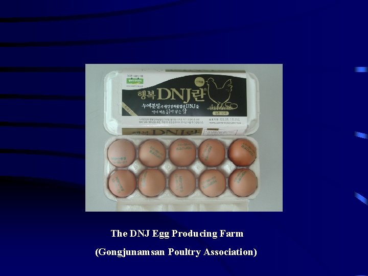 The DNJ Egg Producing Farm (Gongjunamsan Poultry Association) 