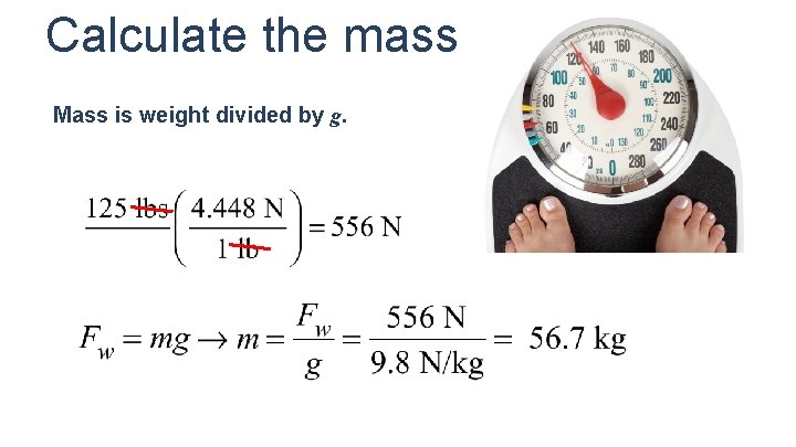 Calculate the mass Mass is weight divided by g. 