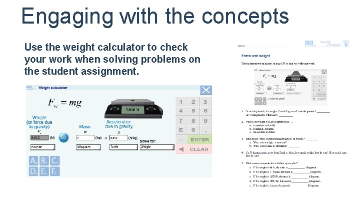 Engaging with the concepts Use the weight calculator to check your work when solving