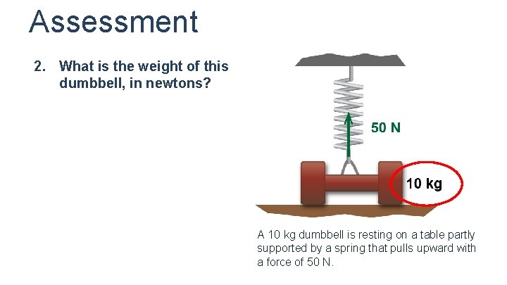 Assessment 2. What is the weight of this dumbbell, in newtons? A 10 kg