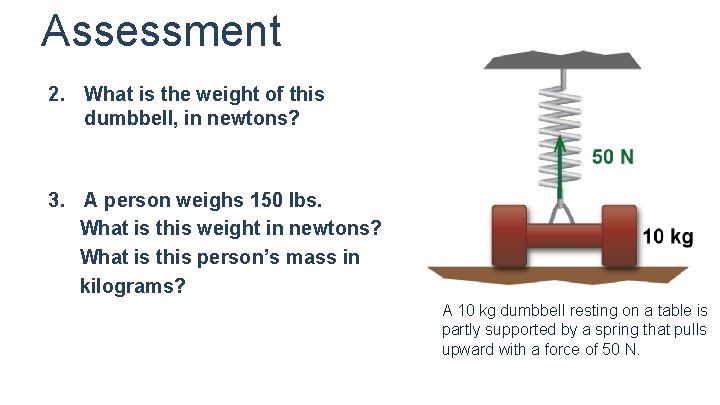 Assessment 2. What is the weight of this dumbbell, in newtons? 3. A person