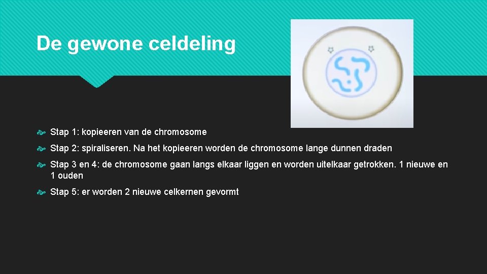 De gewone celdeling Stap 1: kopieeren van de chromosome Stap 2: spiraliseren. Na het