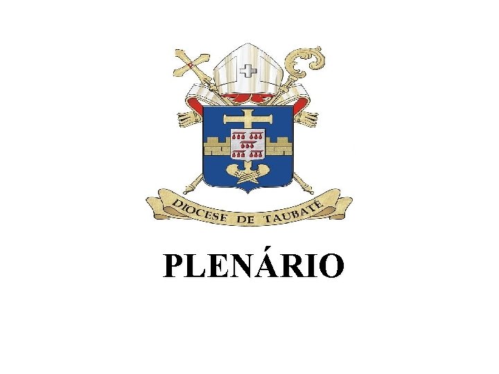 PLENÁRIO 