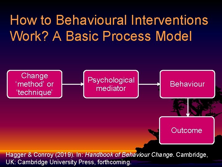 How to Behavioural Interventions Work? A Basic Process Model Change ‘method’ or ‘technique’ Psychological