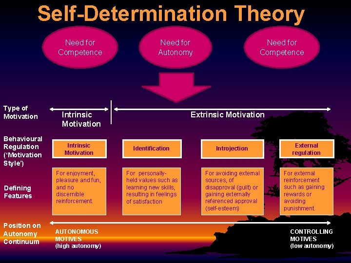 Self-Determination Theory Need for Competence Type of Motivation Behavioural Regulation (‘Motivation Style’) Defining Features