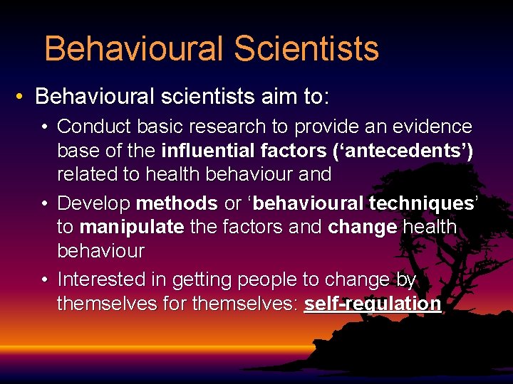 Behavioural Scientists • Behavioural scientists aim to: • Conduct basic research to provide an