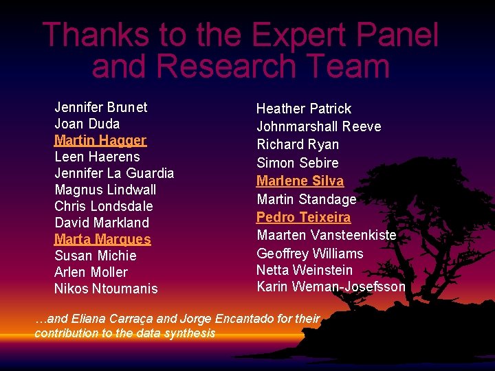Thanks to the Expert Panel and Research Team Jennifer Brunet Joan Duda Martin Hagger