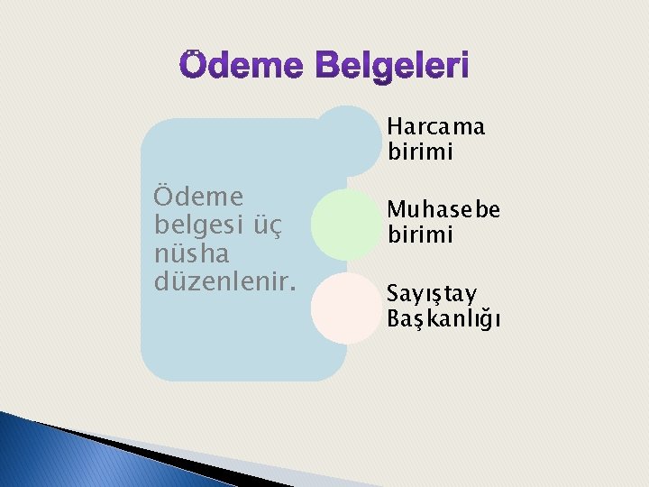 Harcama birimi Ödeme belgesi üç nüsha düzenlenir. Muhasebe birimi Sayıştay Başkanlığı 