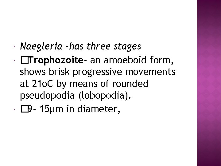  Naegleria -has three stages �Trophozoite- an amoeboid form, shows brisk progressive movements at