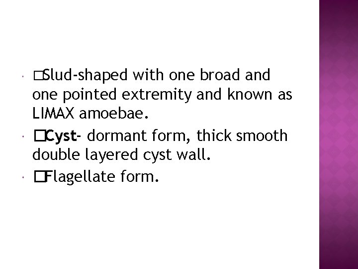  �Slud-shaped with one broad and one pointed extremity and known as LIMAX amoebae.