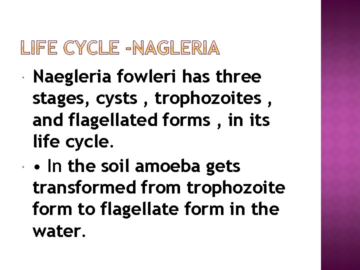  Naegleria fowleri has three stages, cysts , trophozoites , and flagellated forms ,