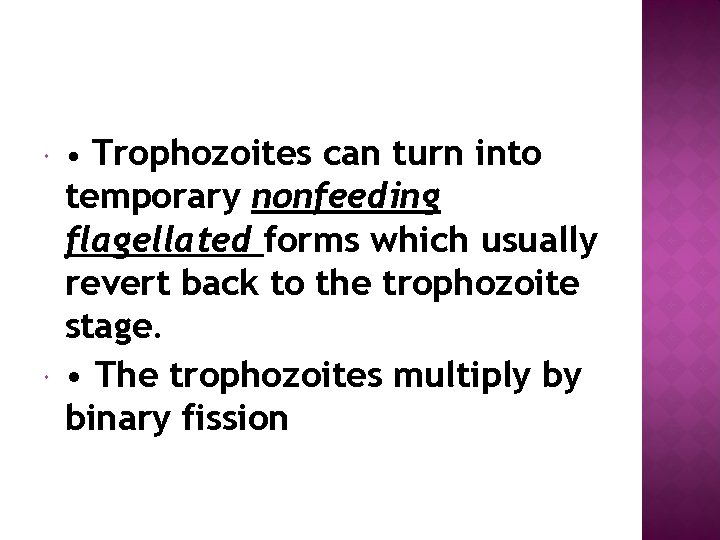 • Trophozoites can turn into temporary nonfeeding flagellated forms which usually revert back