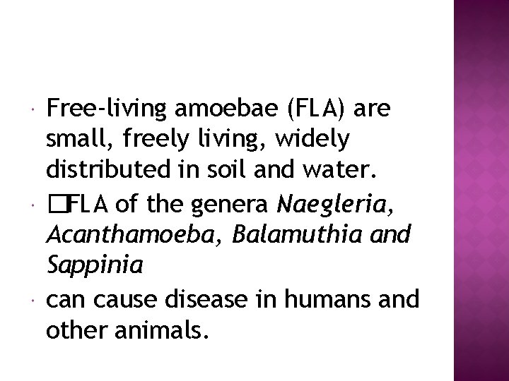  Free-living amoebae (FLA) are small, freely living, widely distributed in soil and water.