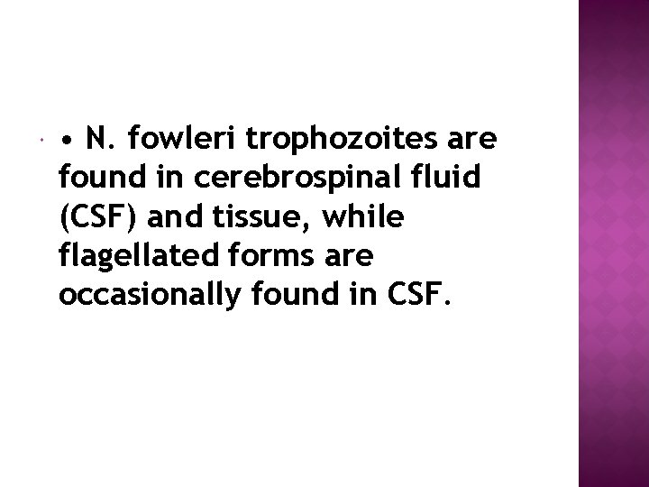  • N. fowleri trophozoites are found in cerebrospinal fluid (CSF) and tissue, while