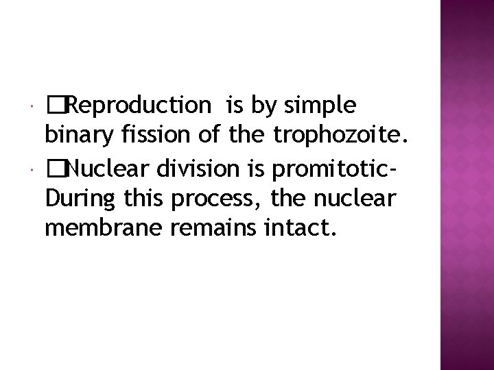  �Reproduction is by simple binary fission of the trophozoite. �Nuclear division is promitotic.
