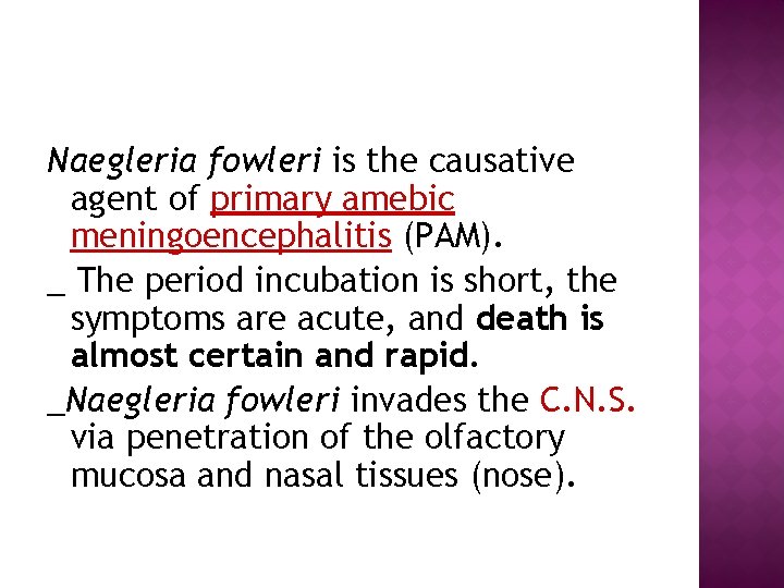 Naegleria fowleri is the causative agent of primary amebic meningoencephalitis (PAM). _ The period