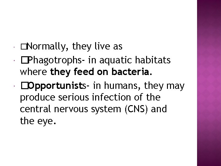  �Normally, they live as �Phagotrophs- in aquatic habitats where they feed on bacteria.