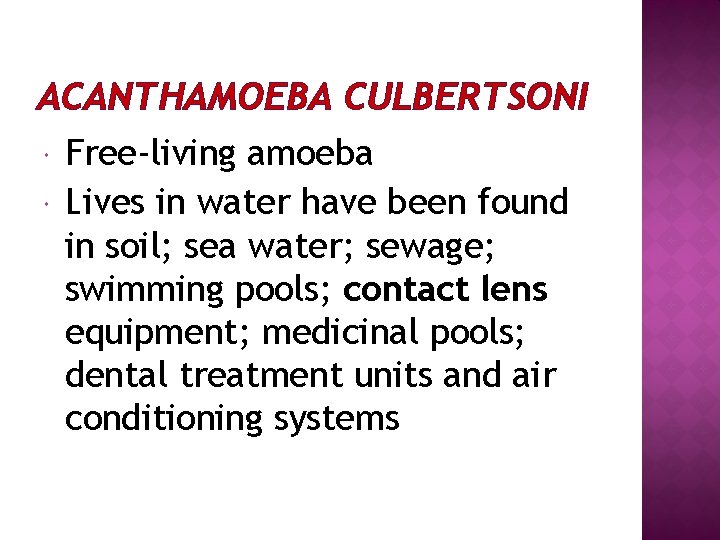 ACANTHAMOEBA CULBERTSONI Free-living amoeba Lives in water have been found in soil; sea water;