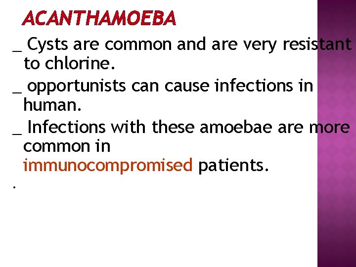 ACANTHAMOEBA _ Cysts are common and are very resistant to chlorine. _ opportunists can