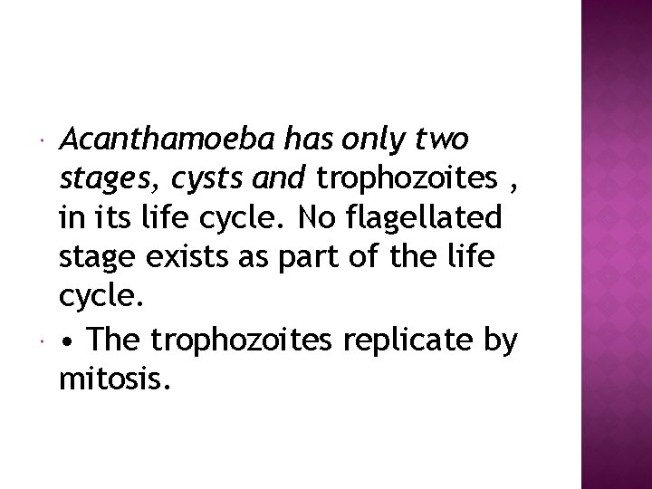  Acanthamoeba has only two stages, cysts and trophozoites , in its life cycle.