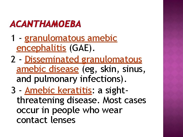 ACANTHAMOEBA 1 - granulomatous amebic encephalitis (GAE). 2 - Disseminated granulomatous amebic disease (eg,