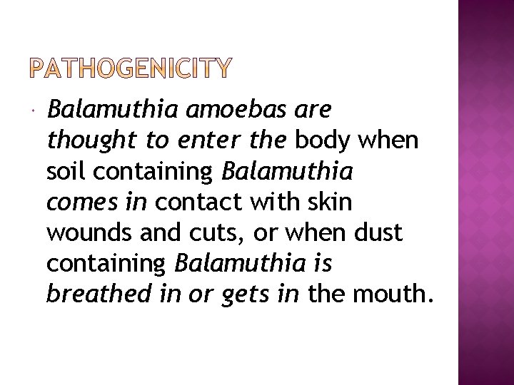  Balamuthia amoebas are thought to enter the body when soil containing Balamuthia comes