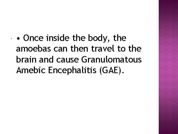  • Once inside the body, the amoebas can then travel to the brain
