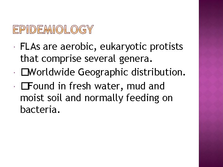  FLAs are aerobic, eukaryotic protists that comprise several genera. �Worldwide Geographic distribution. �Found