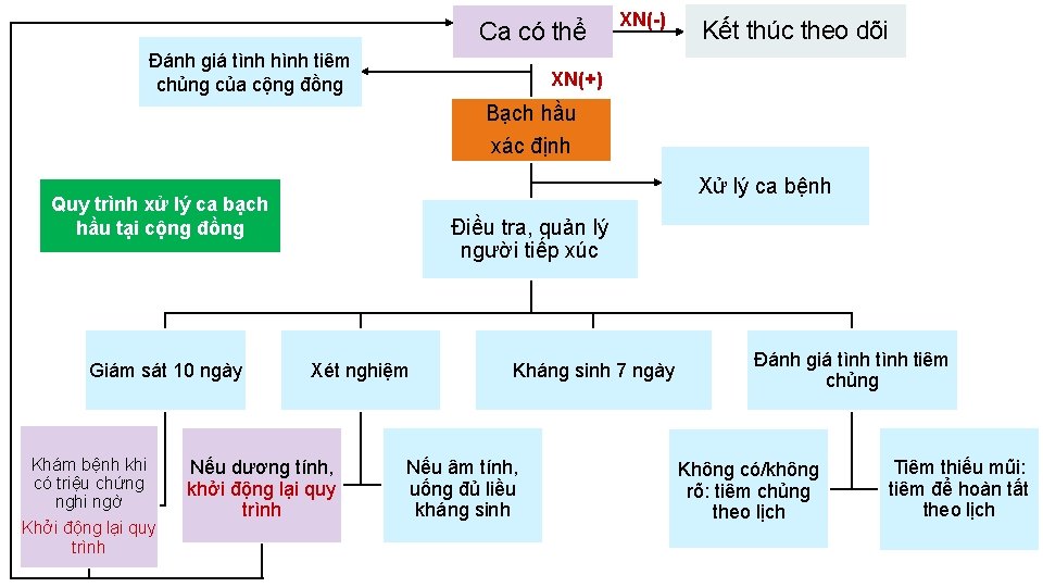 Ca có thể Đánh giá tình hình tiêm chủng của cộng đồng XN(-) Kết