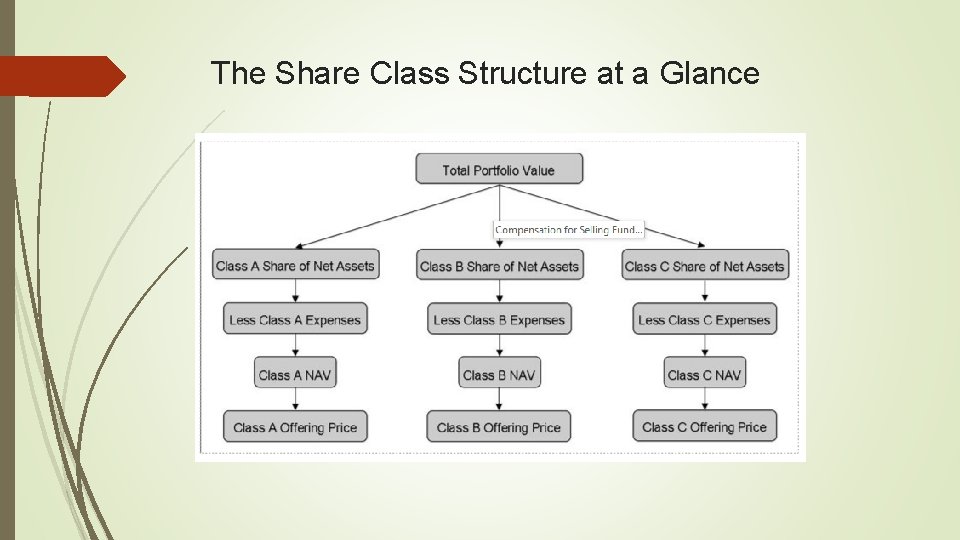 The Share Class Structure at a Glance 