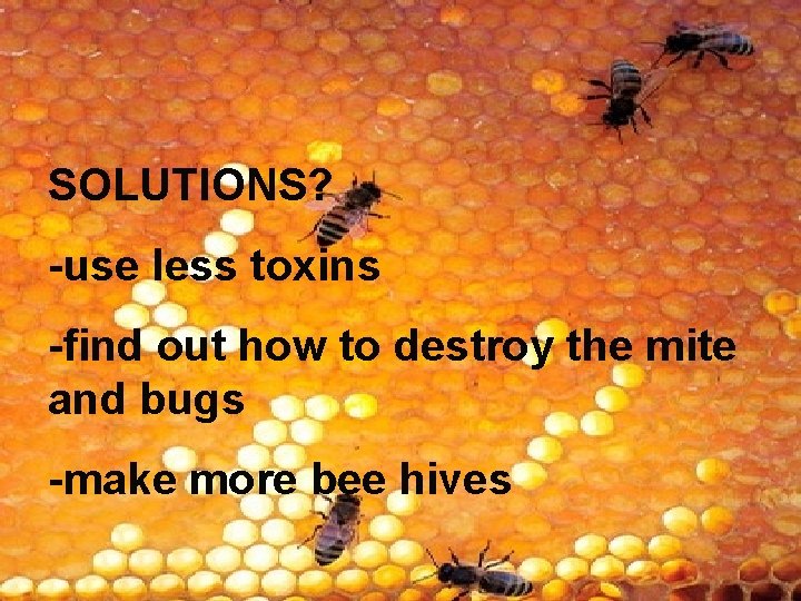 SOLUTIONS? -use less toxins -find out how to destroy the mite and bugs -make