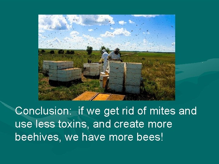 Conclusion: if we get rid of mites and use less toxins, and create more