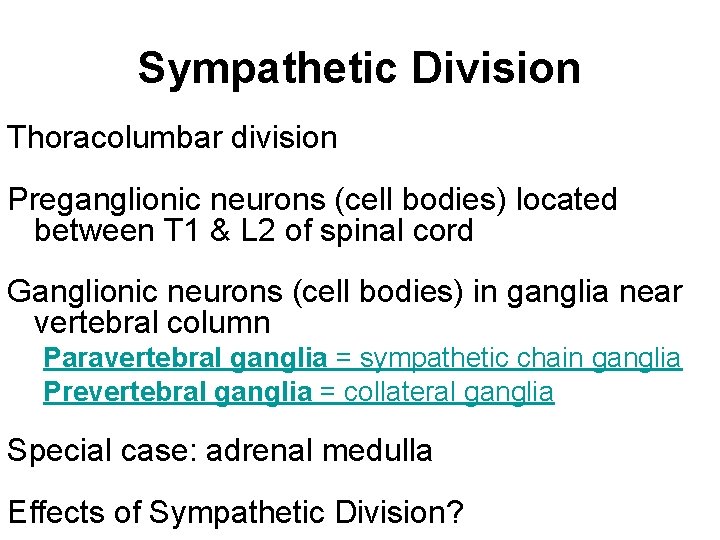 Sympathetic Division Thoracolumbar division Preganglionic neurons (cell bodies) located between T 1 & L