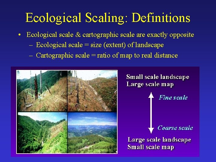 Ecological Scaling: Definitions • Ecological scale & cartographic scale are exactly opposite – Ecological