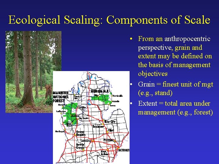 Ecological Scaling: Components of Scale • From an anthropocentric perspective, grain and extent may