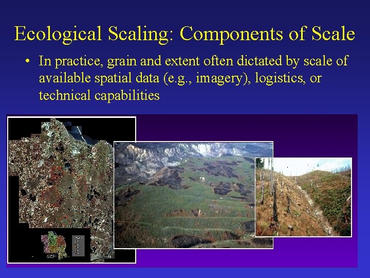 Ecological Scaling: Components of Scale • In practice, grain and extent often dictated by
