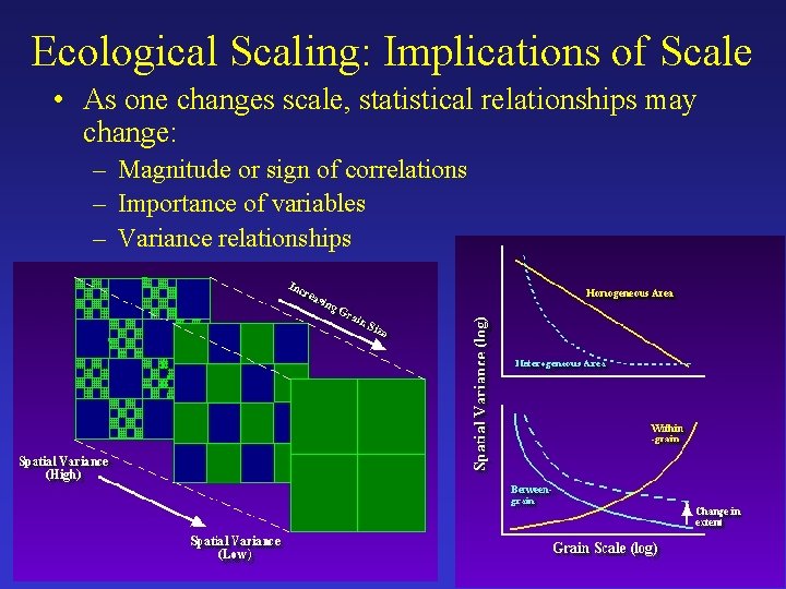 Ecological Scaling: Implications of Scale • As one changes scale, statistical relationships may change: