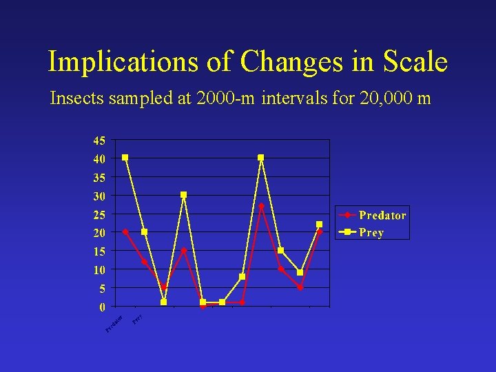 Implications of Changes in Scale Insects sampled at 2000 -m intervals for 20, 000