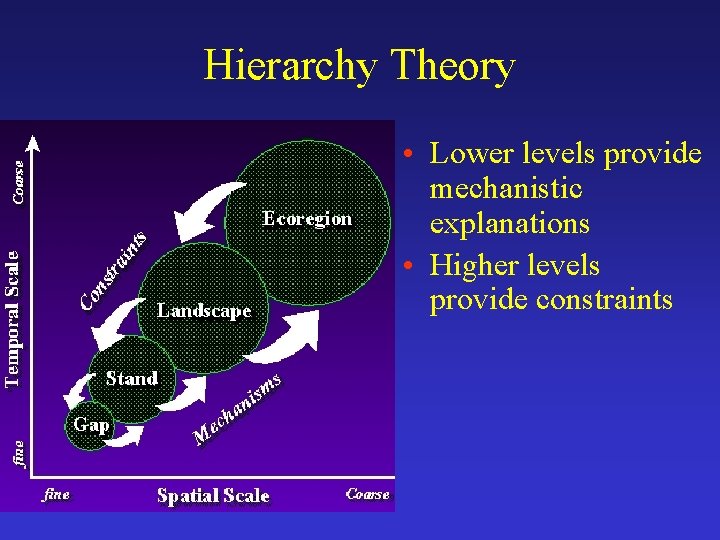 Hierarchy Theory • Lower levels provide mechanistic explanations • Higher levels provide constraints 